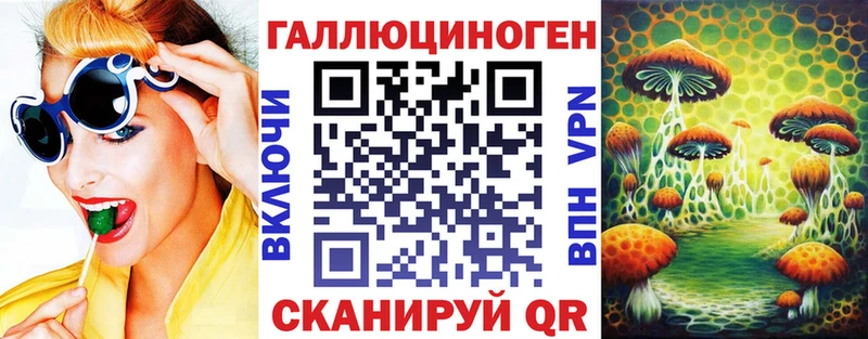 Купить Сычёвка Псилоцибиновые грибы GOLDEN TEACHER